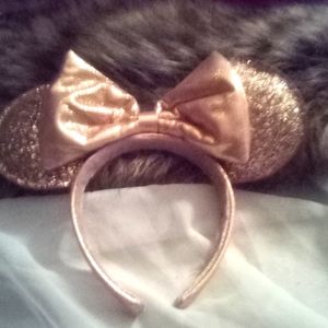 Walt Disney Mickey mouse ears been kept in a Ziploc bag leather sequence stays